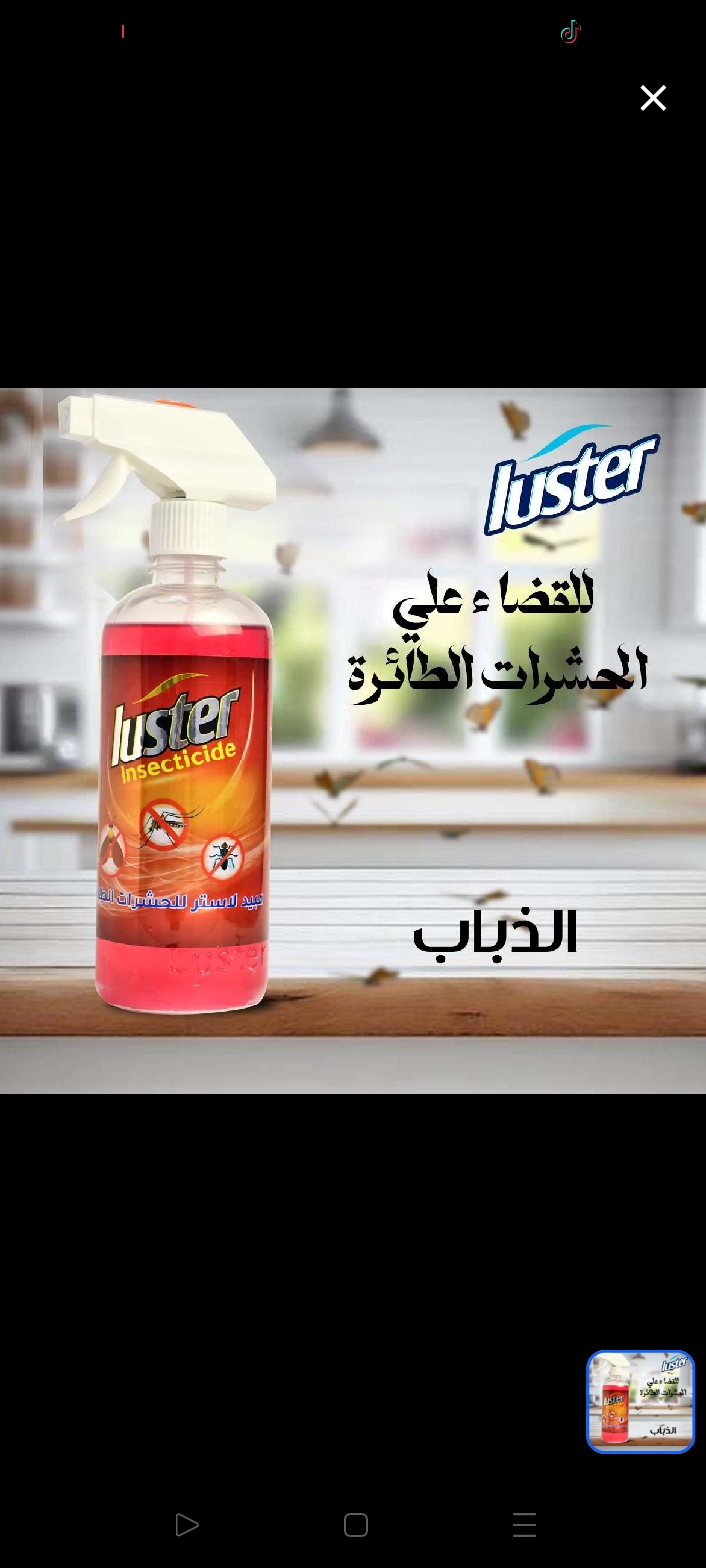 مبيد الذباب و الهاموش عبوة 600 مل